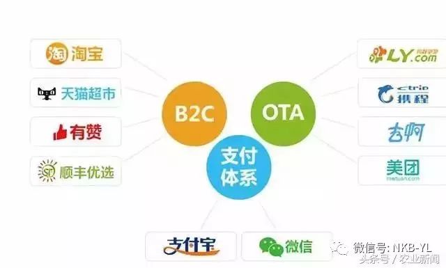 互联网农业是怎么做的视频,互联网农业创业技巧大全