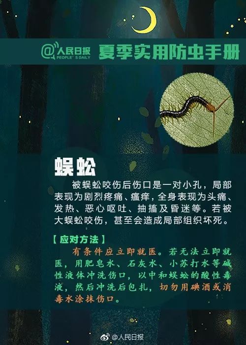 捉一只奖8元！广州全城“捉拿”的锥蝽，究竟是什么虫？