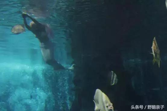 这个夏天去北京旅游好玩吗,夏天适合去的海底世界