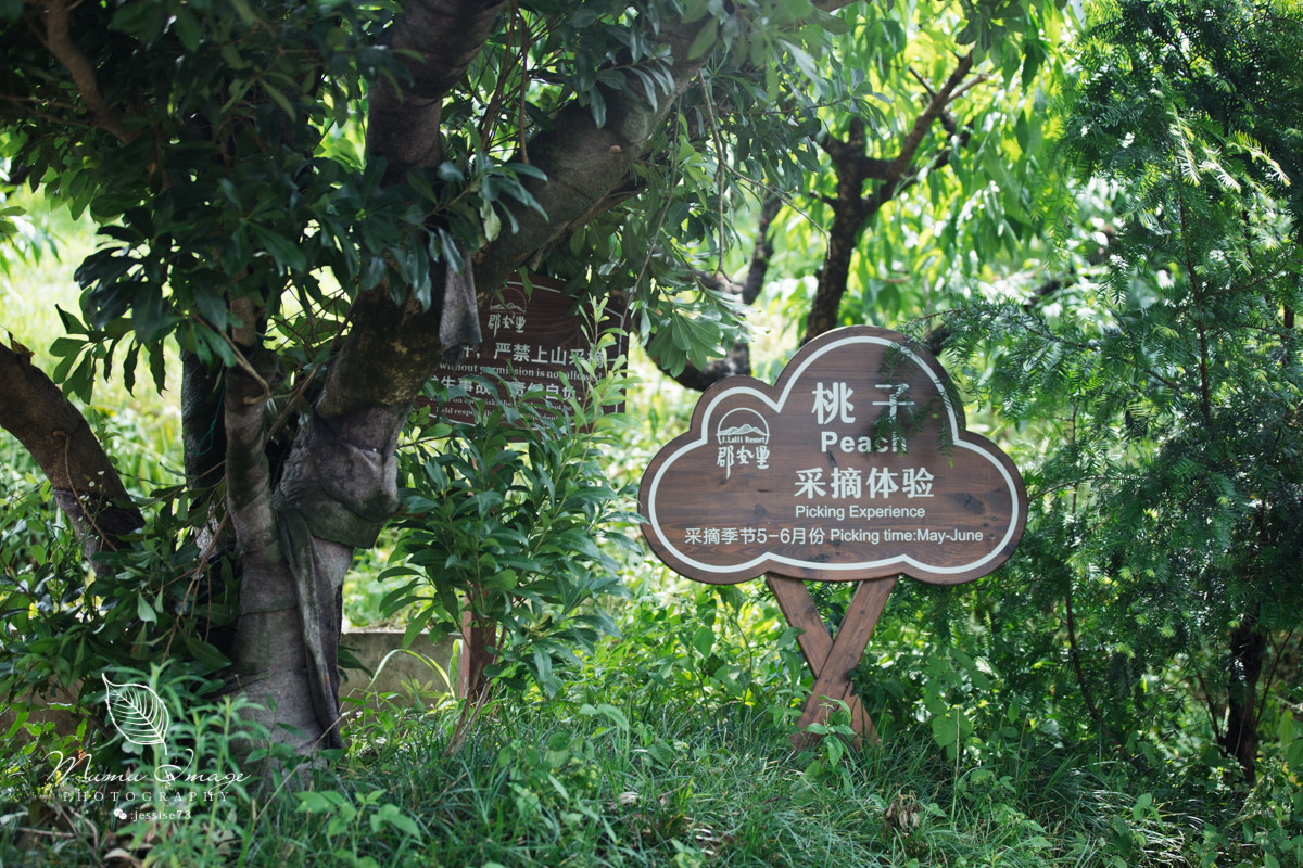 莫干山郡安里君澜度假酒店怎么样,莫干山郡安里君澜度假