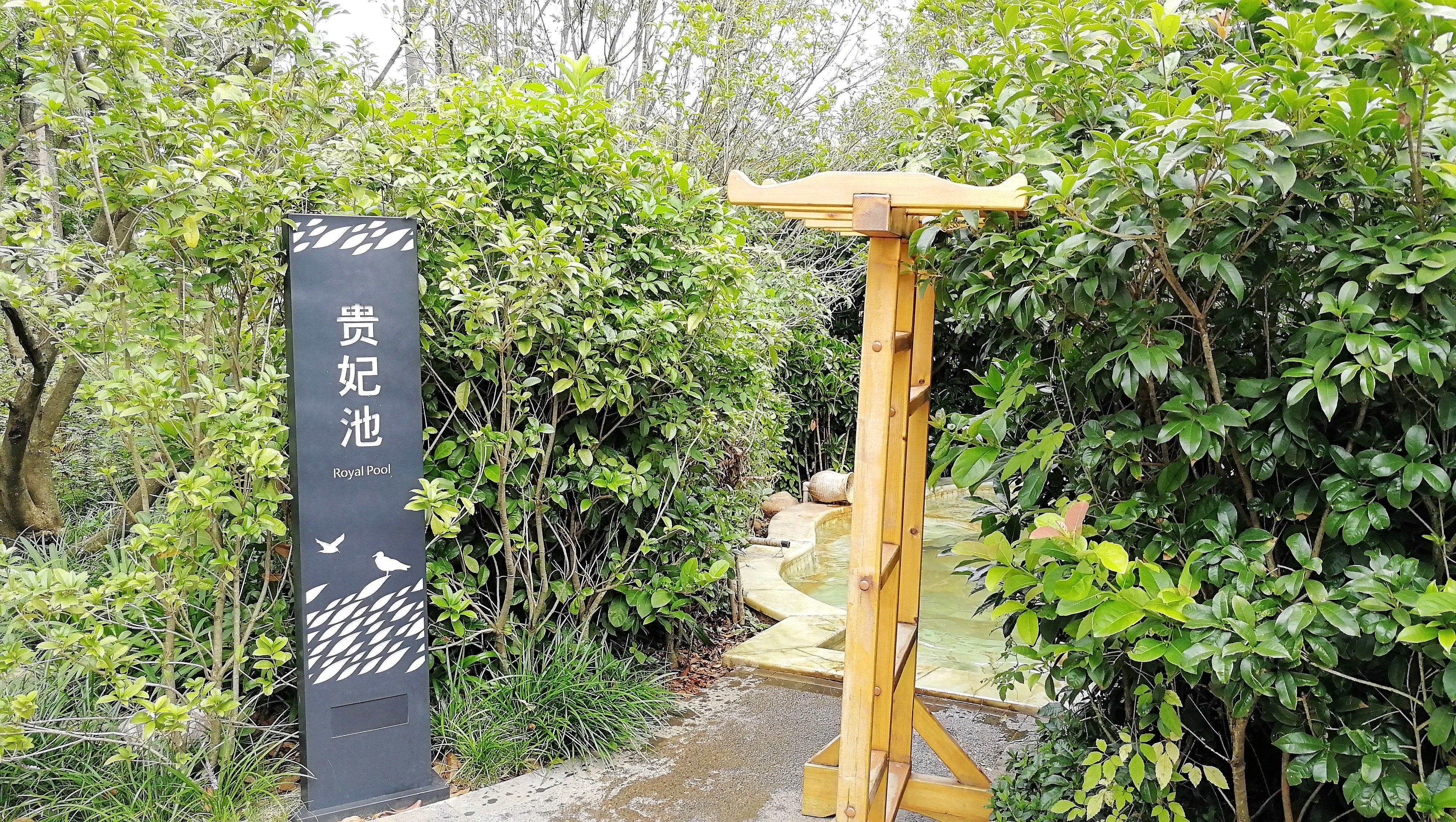 看花海，泡温泉，吃美食，这样的度假风你爱不爱？