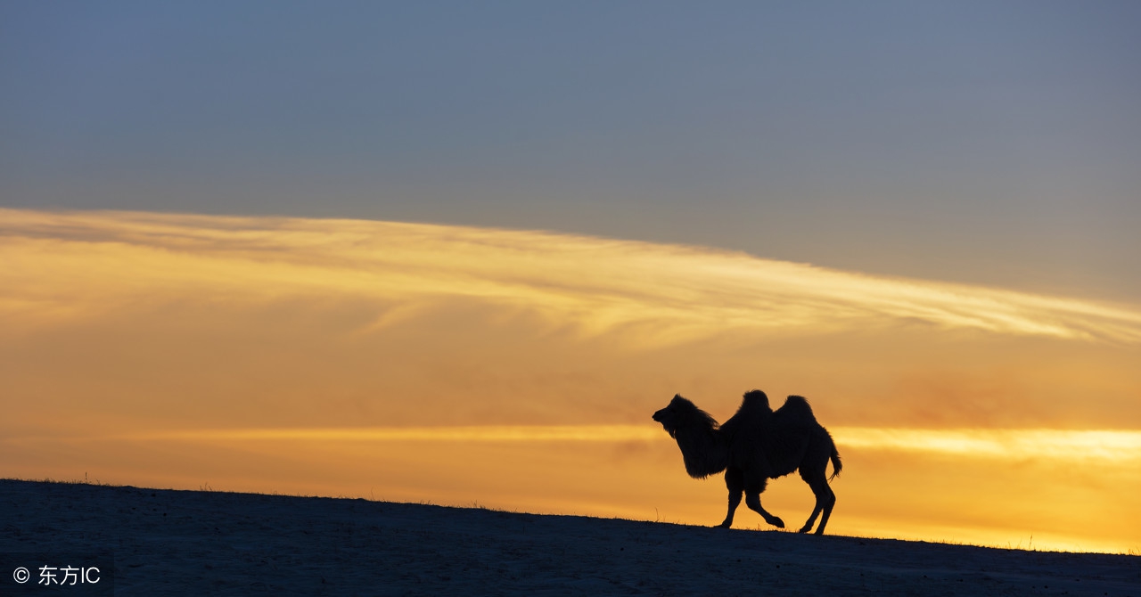 23个哲理故事及写作启示,讲一个幽默而又有哲理的小故事