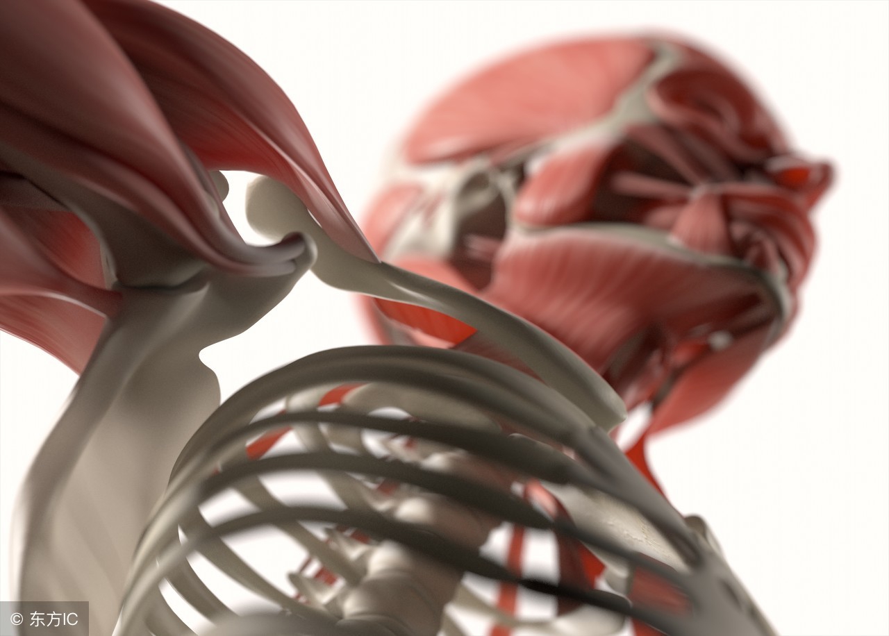 法医开始解剖新鲜尸体的时候会放血吗？