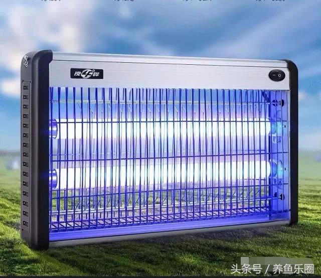 夏季防蚊小妙招赶紧收藏,鱼池夏天怎么驱蚊