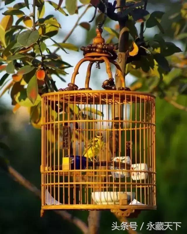 100种中国符号长见识了,中国100种符号大全