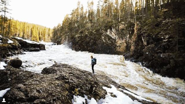 野兔计划放逐者名单公布|那么多人里,我们找到了你!