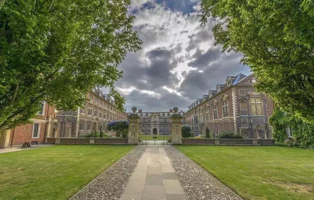 中国人养活了全美国的野鸡大学?这已成现实