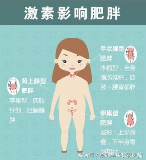 激素会导致变胖吗,身体里什么激素会导致发胖