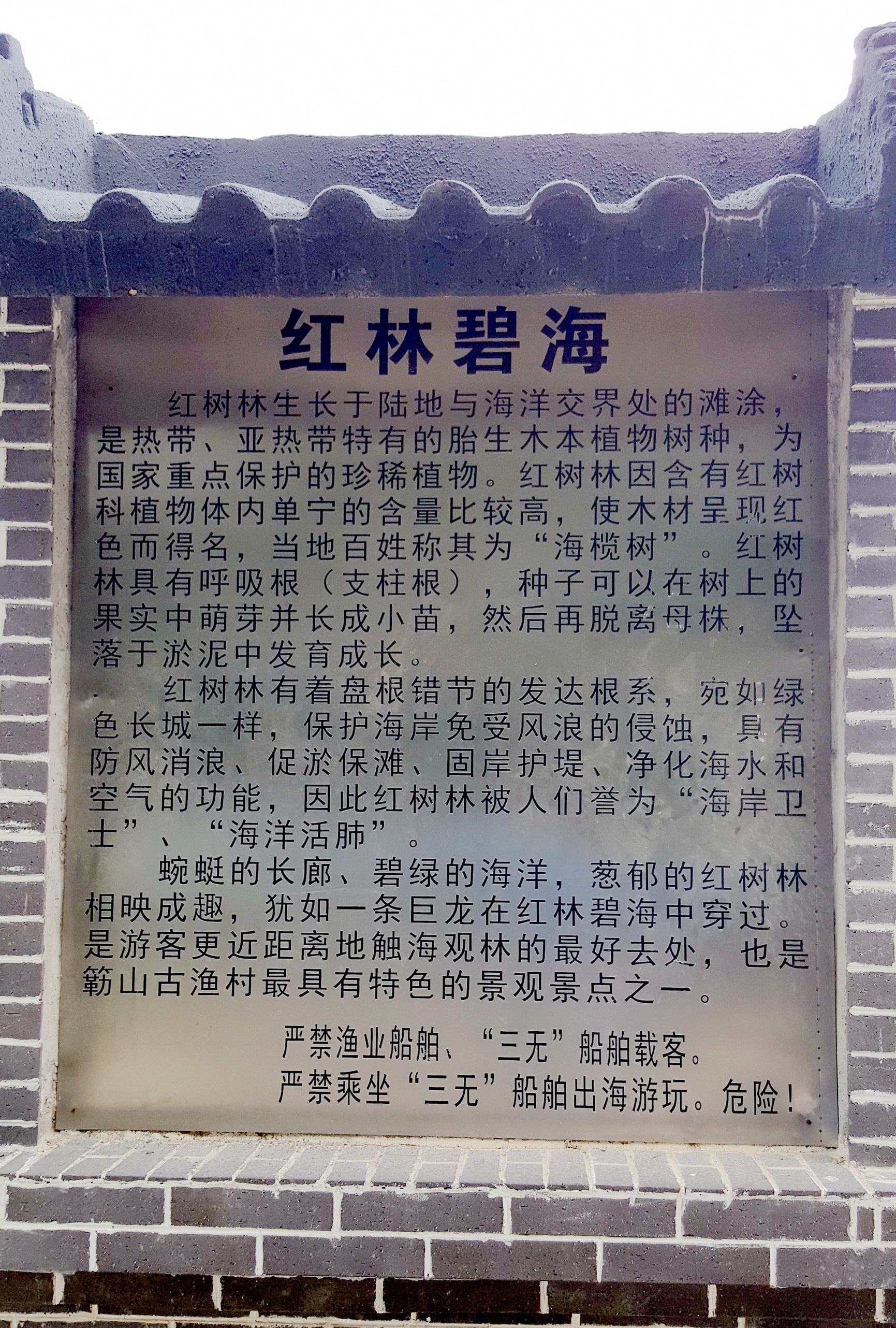 中国沿海旅行D4，天堂角到犀牛脚，人间难得一见钦州湾