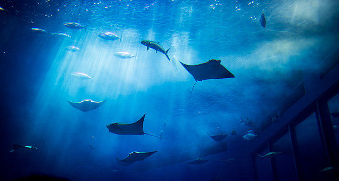 最适合旅游的世界上的海岛,世界上最休闲的海岛是什么