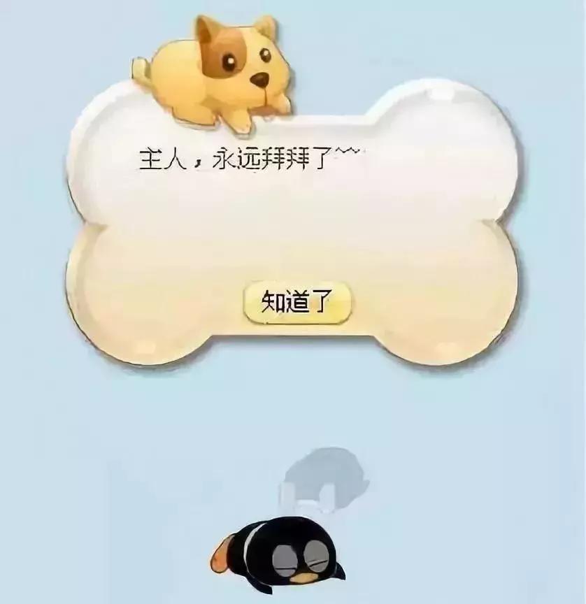 qq宠物将停运最后视频,qq宠物关停服务器