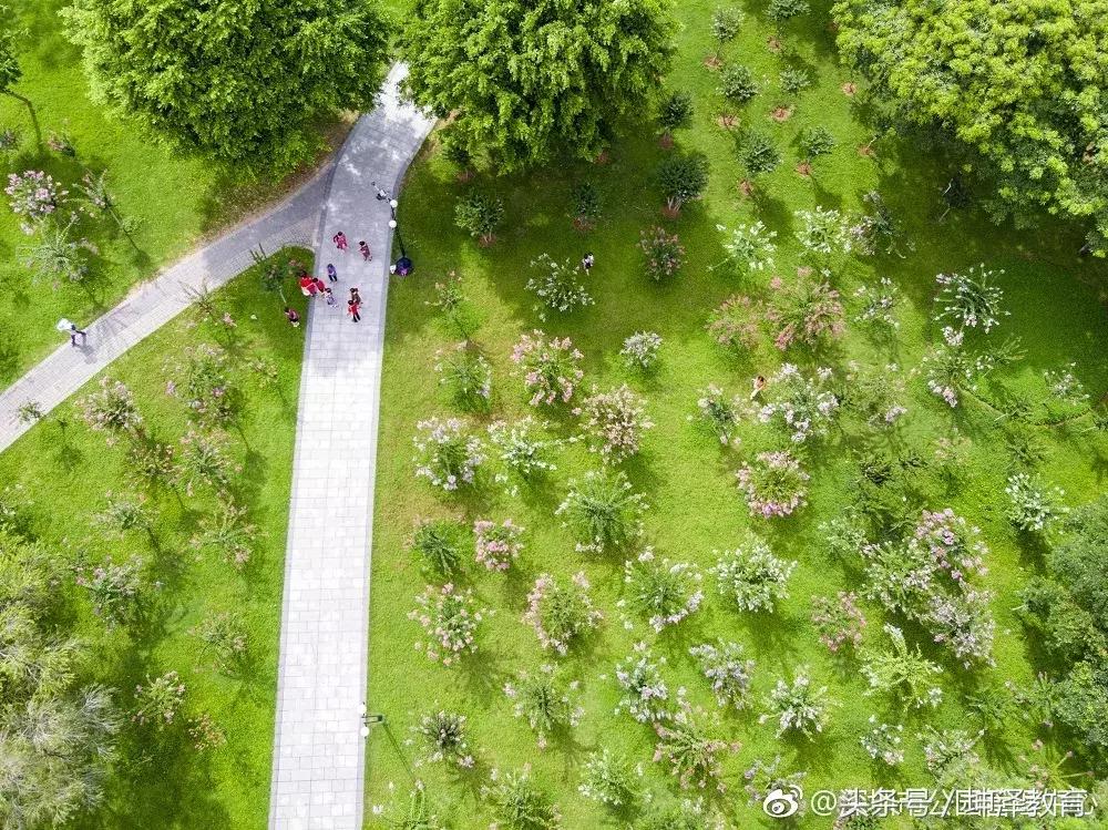 5月深圳莲花山公园赏花,深圳莲花山10月看花