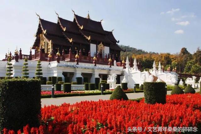 泰国清莱，此生不留遗憾的蜜月之“甜”！