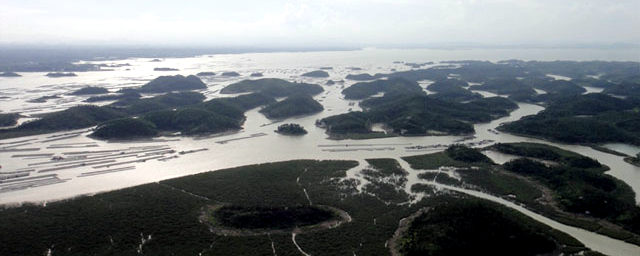 中国沿海旅行D4，天堂角到犀牛脚，人间难得一见钦州湾
