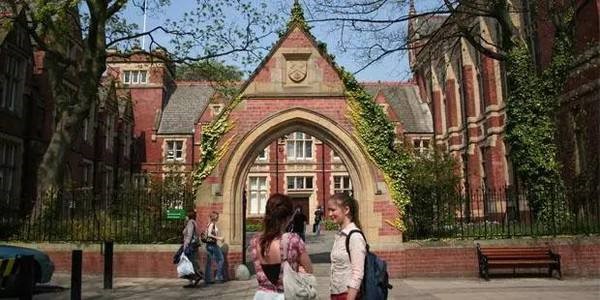 养一个约克夏要花多少钱,养一只约克夏的成本