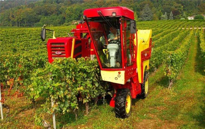 国外让人惊叹的农机收割葡萄,德国收割机收葡萄视频