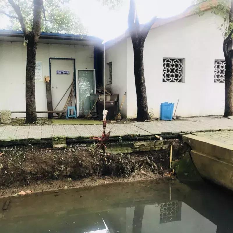 蔬果草莓采摘园,常州采摘适合夏天玩的地方