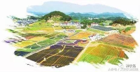 农产品网络营销的常见方法有哪些,农产品网络营销的运营模式