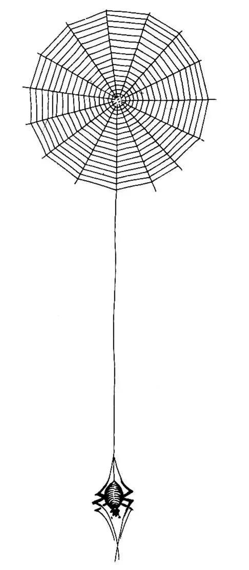 这些中国传统吉祥图案你见过几个？知道图案寓意吗？