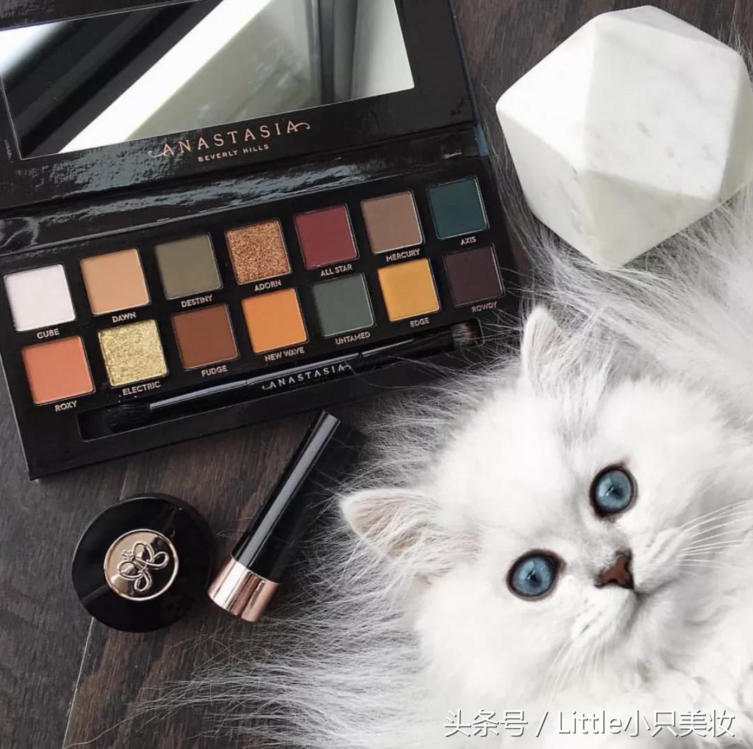 十大必买的眼影盘,十大最值得入手眼影盘