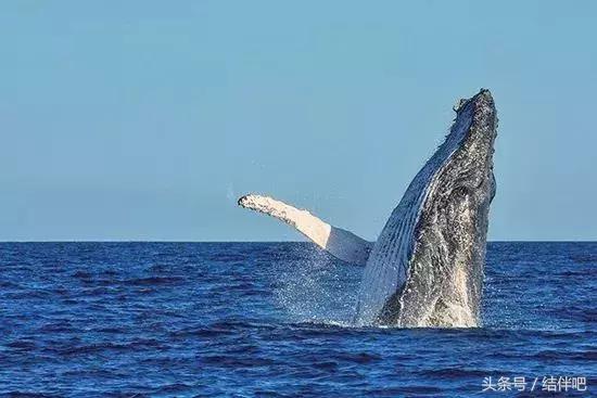 免签落地签国家一览表,最新免签国家名单公布