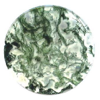 极品水草玛瑙图片大全,最好的水草玛瑙图片