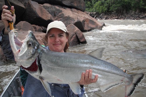 海洋里最危险的鱼,亚马逊河最危险的鱼