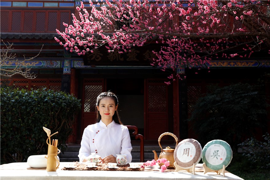 龙润云茶2012,龙润云茶普洱茶