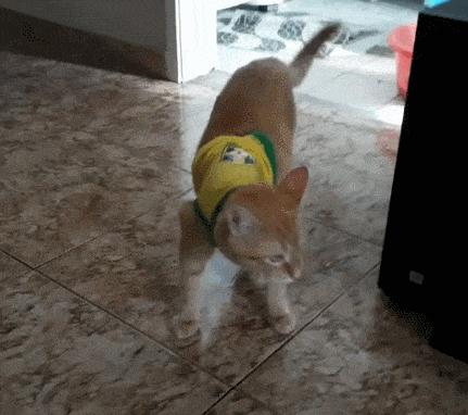 动图直击：“内马尔翻滚”火大了，连猫和老鼠都学会了！