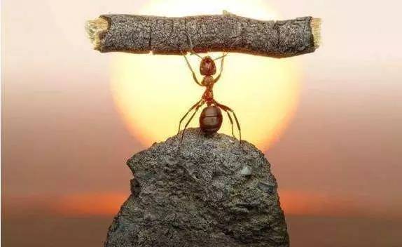 睡觉踏空抖动是什么原因,睡觉时突然一抖像踏空一样