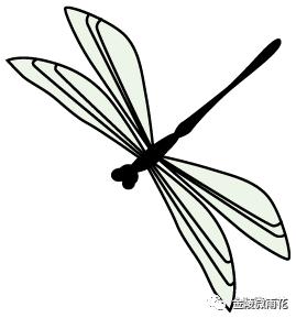 一起来看资阳新面貌,一起来看一看都有哪些改变