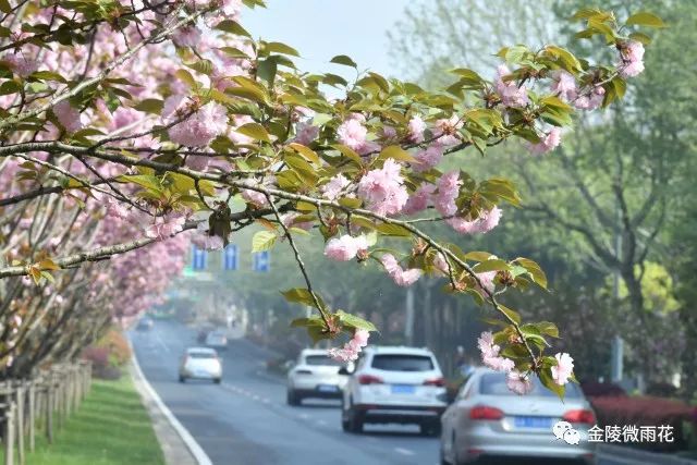 一起来看资阳新面貌,一起来看一看都有哪些改变