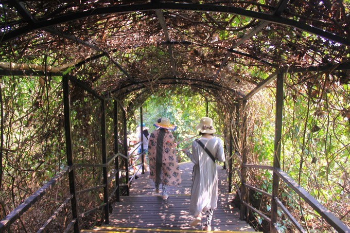 恋上这片海,一个人绚丽多彩的三亚自由行