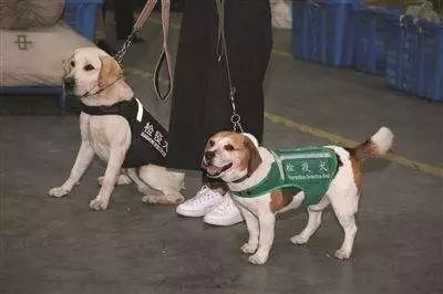 中山大件事,带大件物品过关香港