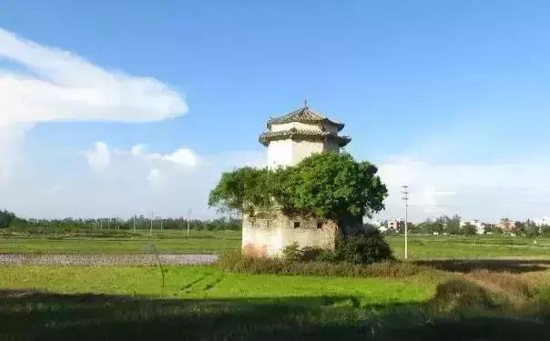 吴川震撼的视频,吴川超燃视频