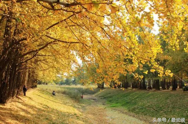 去成都上大学需要给孩子准备什么,去成都读大学有什么要注意的