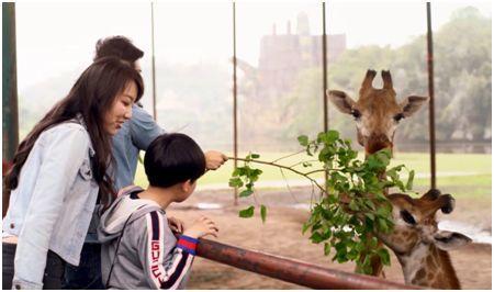 重庆乐和乐都及周边玩耍攻略,重庆乐和乐都的游玩设施