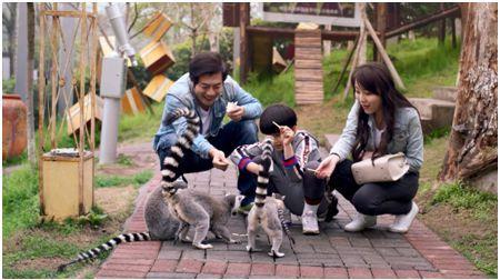 重庆乐和乐都及周边玩耍攻略,重庆乐和乐都的游玩设施