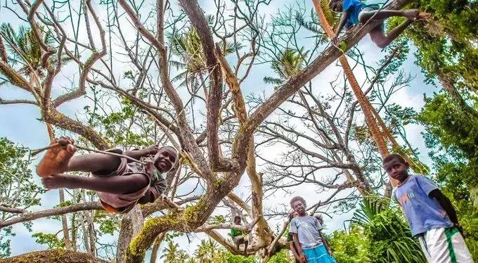 中国护照免签及落地签的国家,中国护照免签含金量