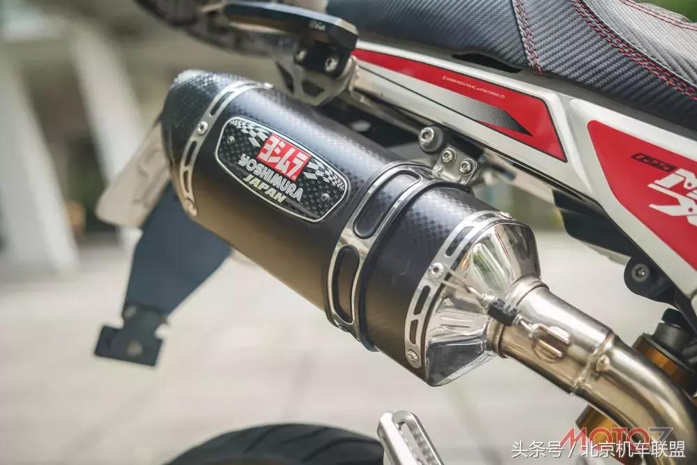 混血小猴子的视频,混血宝宝小猴子