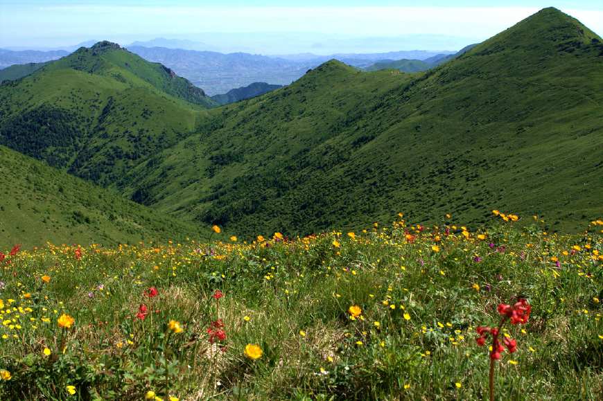 河北都有哪些自然生态保护区冬天,河北空气好的大自然风景