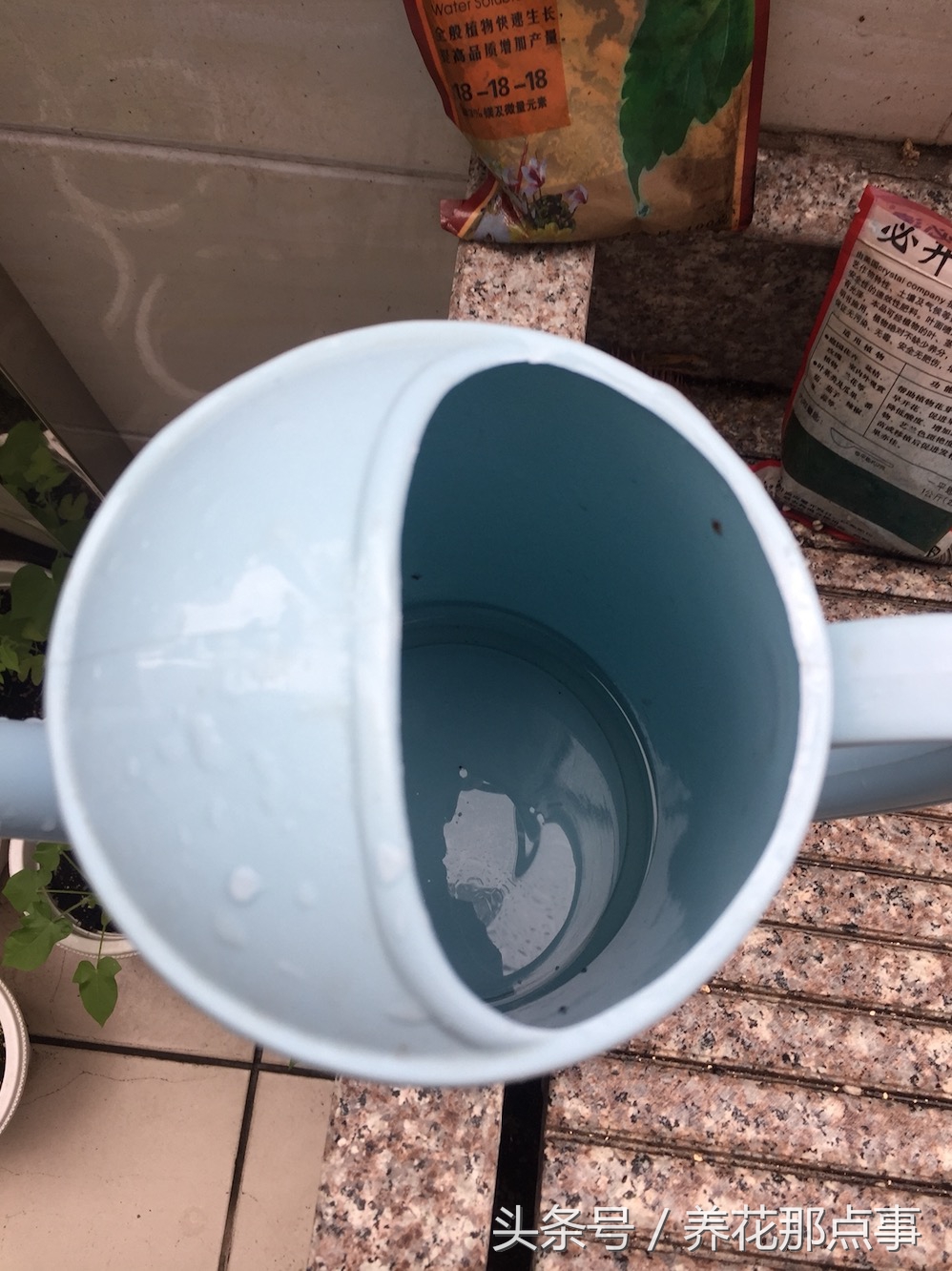 喝剩的啤酒能浇月季花吗,过期的啤酒能直接用来浇花吗