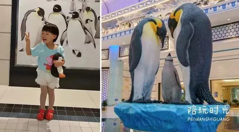 带娃游长隆最佳路线,带娃去哪个长隆玩