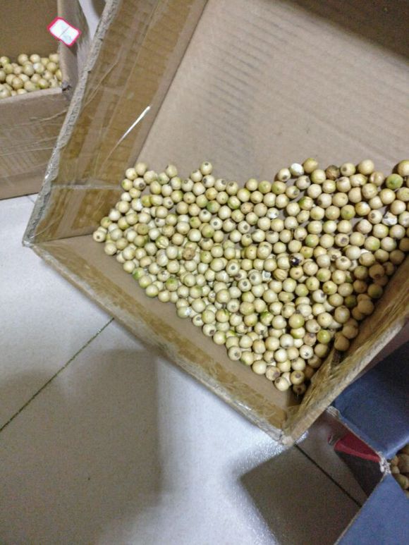 苦楝子手串怎么制作,苦楝子手串效果