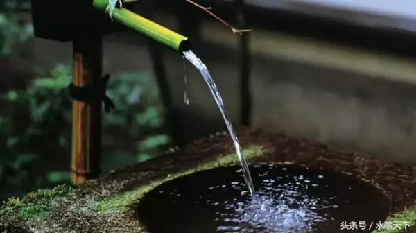 最短的诗八个字,一句诗有八个字的古诗