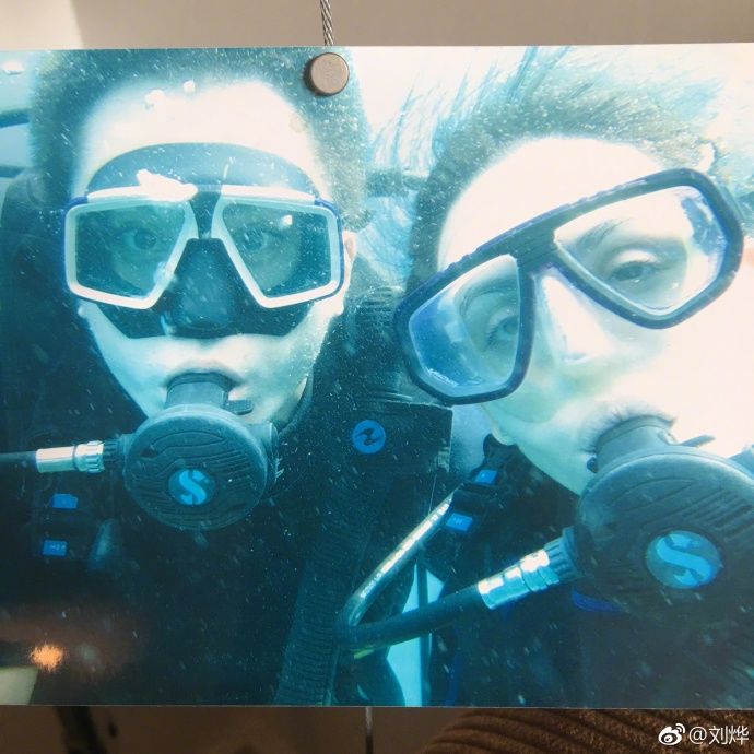 刘烨安娜结婚视频完整版,刘烨和诺一谁是爸爸