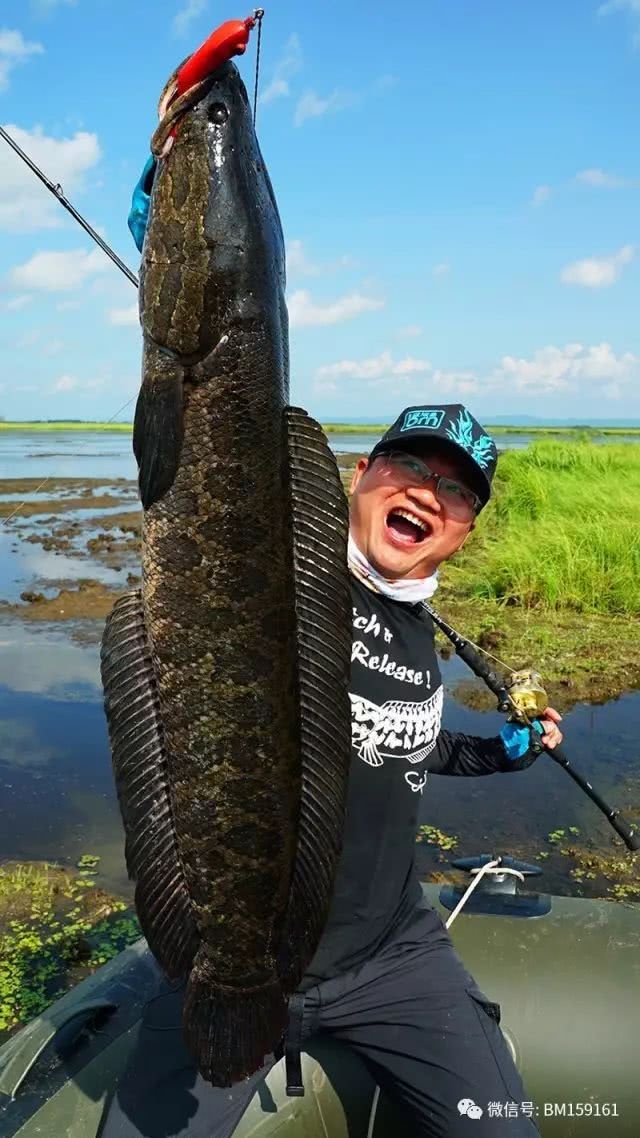 北大荒雷强打猎,北大荒雷强打黑