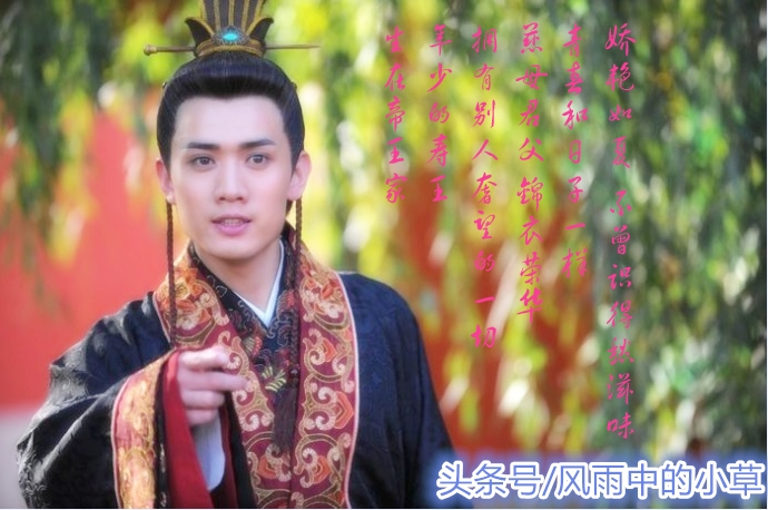 杨贵妃和寿王李瑁结婚了吗,唐玄宗的儿子李瑁与杨贵妃的故事