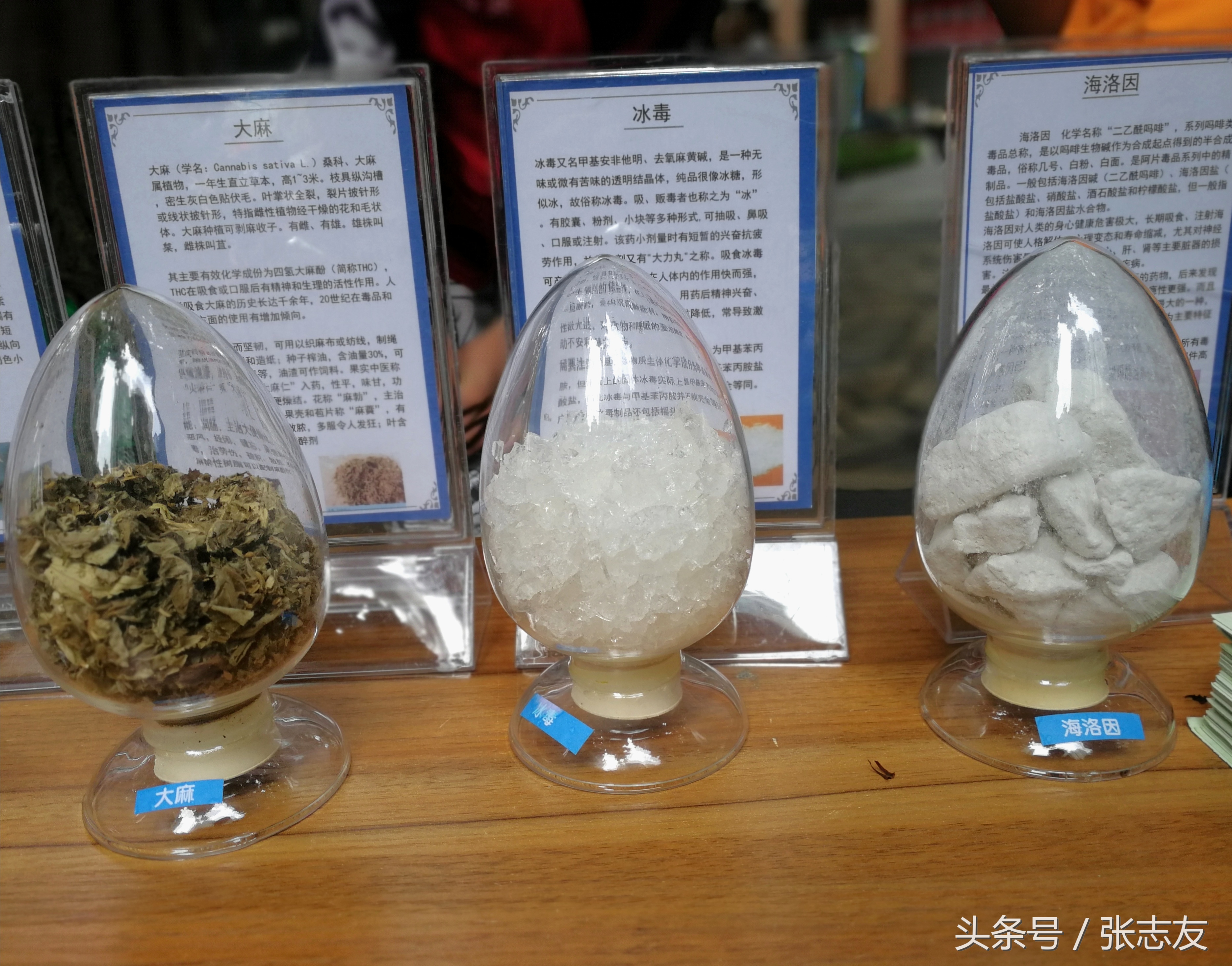 禁毒宣传你必知道的知识,禁毒宣传日一览表