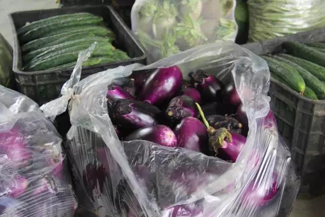 爱的本质是自由原唱,爱的本质是自由是勇敢